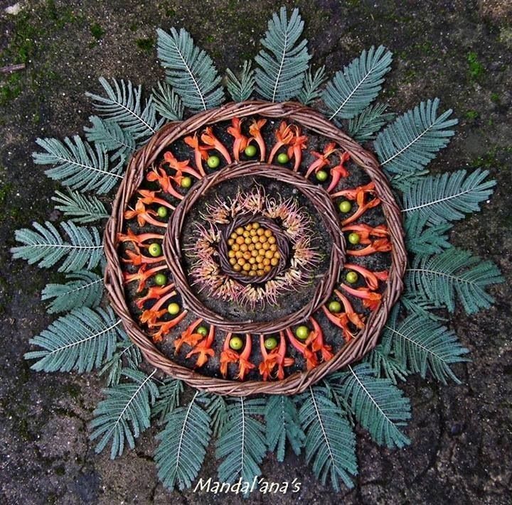 A nature mandala arranged on the forest floor among ferns, built from bark, seed heads and orange leaves